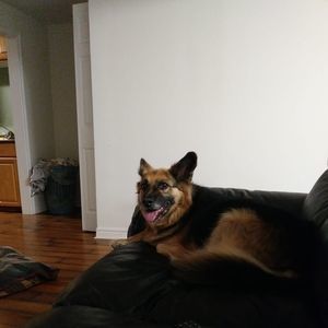 Meet your Posher, Sonya